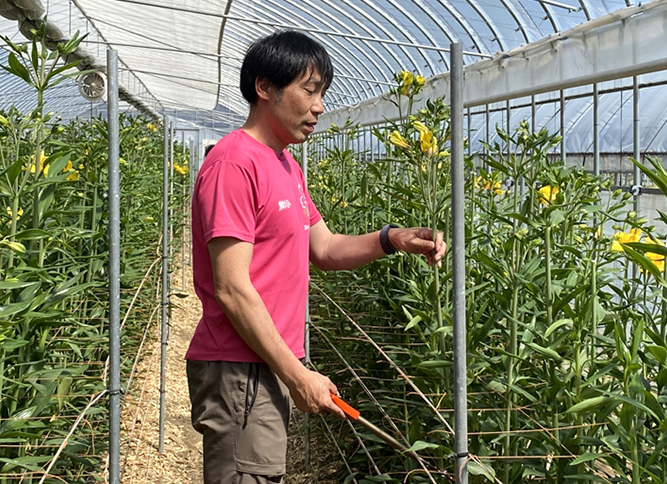 花ふぁーむについて